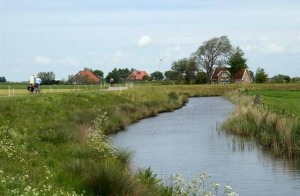 landschap